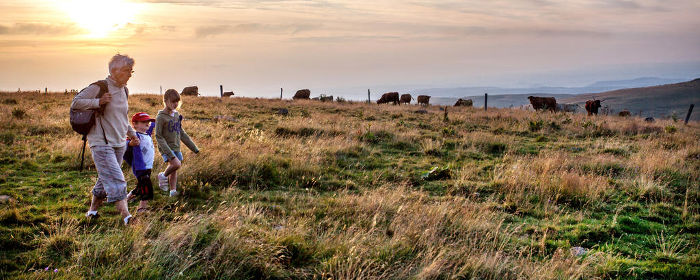 Randonnée sur le chemin de Compostelle